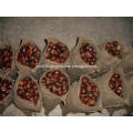 High Quality Chinese Harvesting Fresh Chestnut fruit